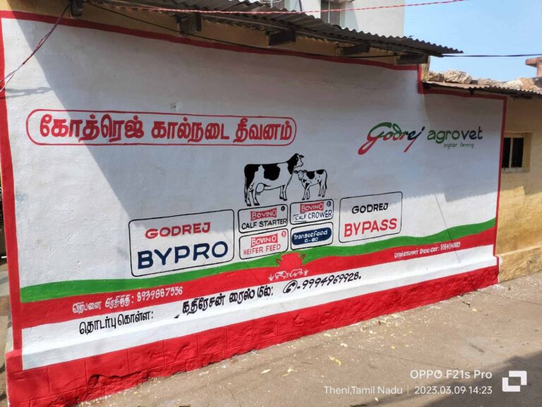 Wall Painting agency (3)